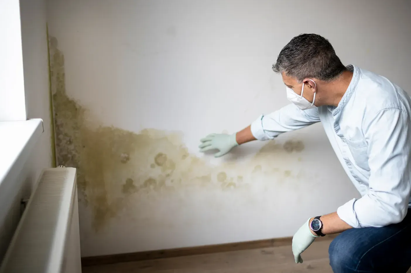 hidden-dangers-dampness-mold-india-identify-prevent-fix